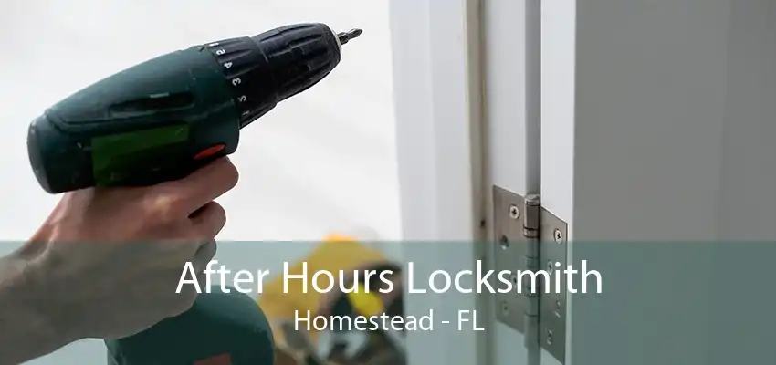 After Hours Locksmith Homestead - FL
