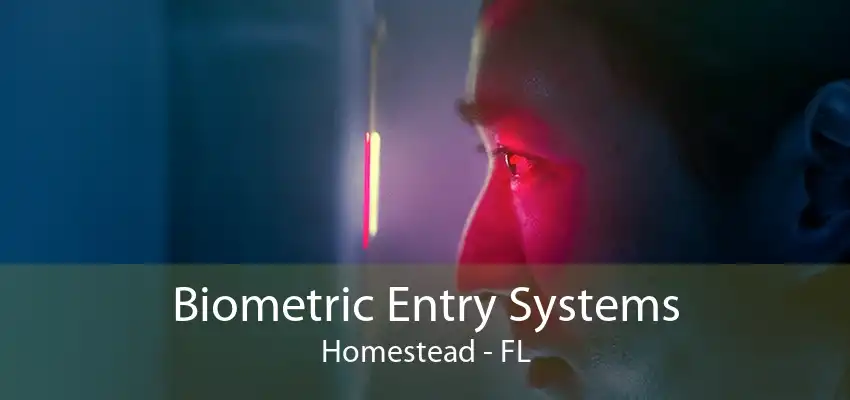 Biometric Entry Systems Homestead - FL