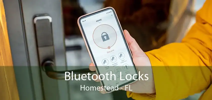 Bluetooth Locks Homestead - FL