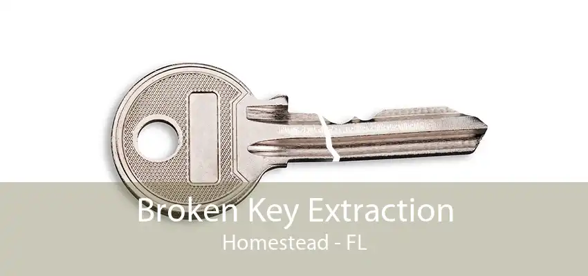 Broken Key Extraction Homestead - FL