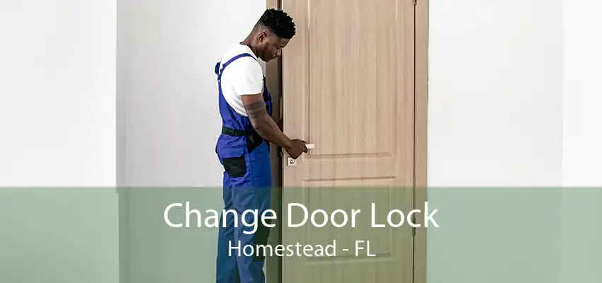 Change Door Lock Homestead - FL