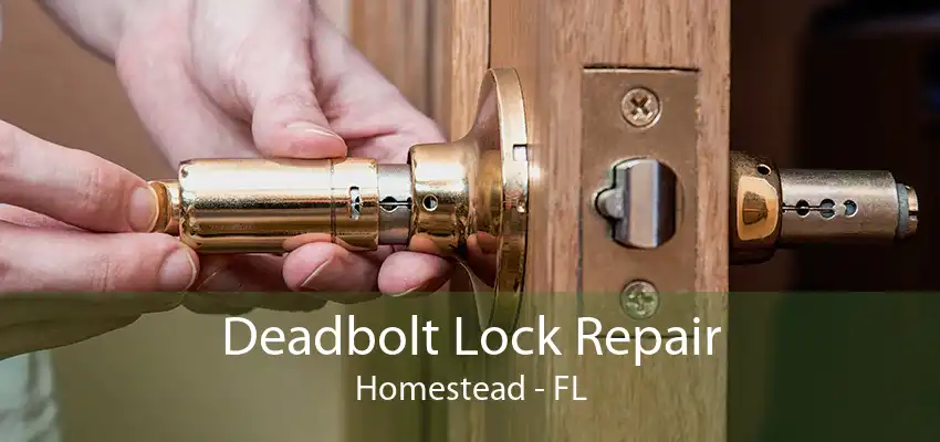 Deadbolt Lock Repair Homestead - FL