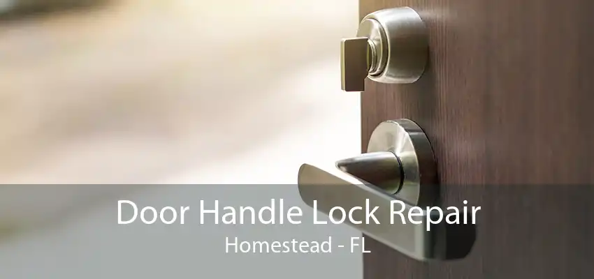 Door Handle Lock Repair Homestead - FL