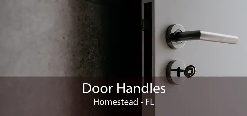 Door Handles Homestead - FL