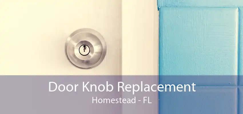 Door Knob Replacement Homestead - FL