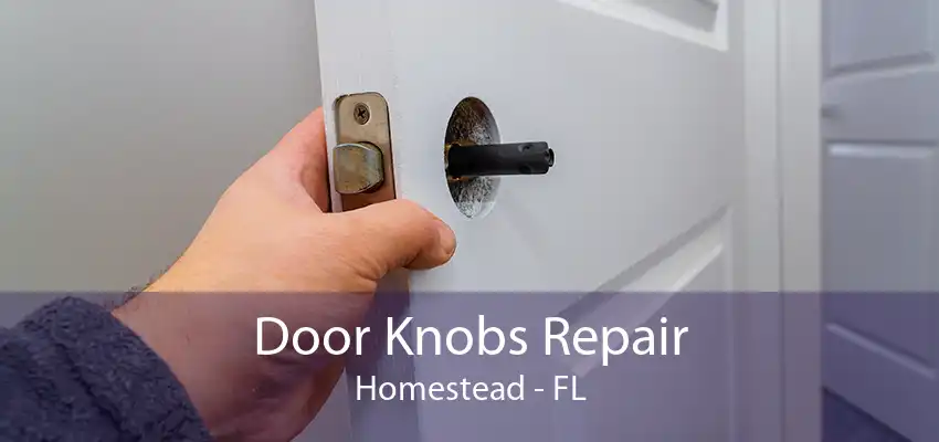 Door Knobs Repair Homestead - FL