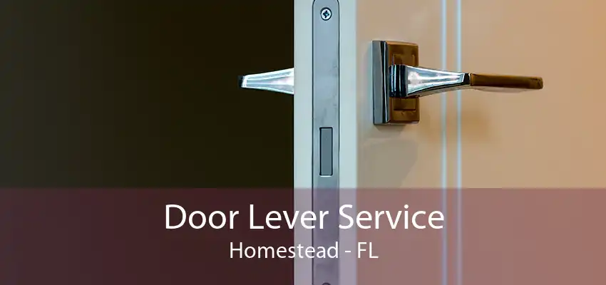 Door Lever Service Homestead - FL