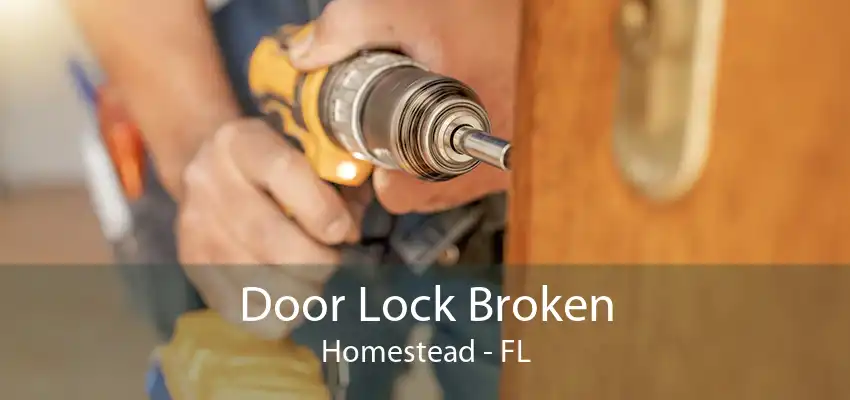 Door Lock Broken Homestead - FL