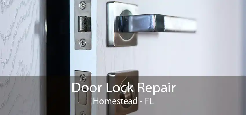 Door Lock Repair Homestead - FL