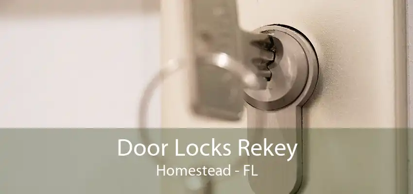 Door Locks Rekey Homestead - FL