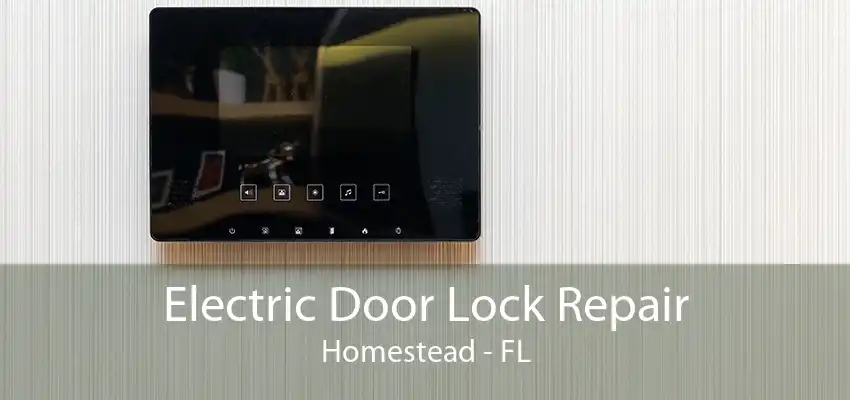 Electric Door Lock Repair Homestead - FL