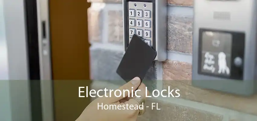 Electronic Locks Homestead - FL