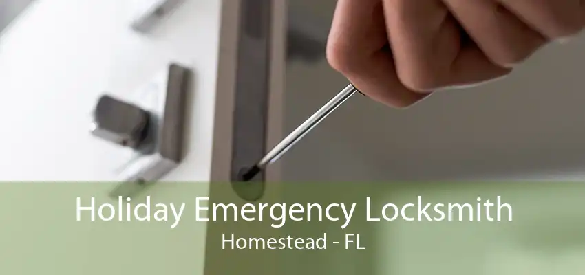 Holiday Emergency Locksmith Homestead - FL