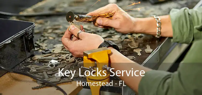 Key Locks Service Homestead - FL