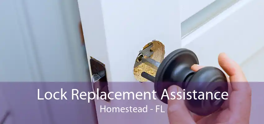 Lock Replacement Assistance Homestead - FL