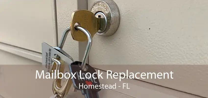 Mailbox Lock Replacement Homestead - FL