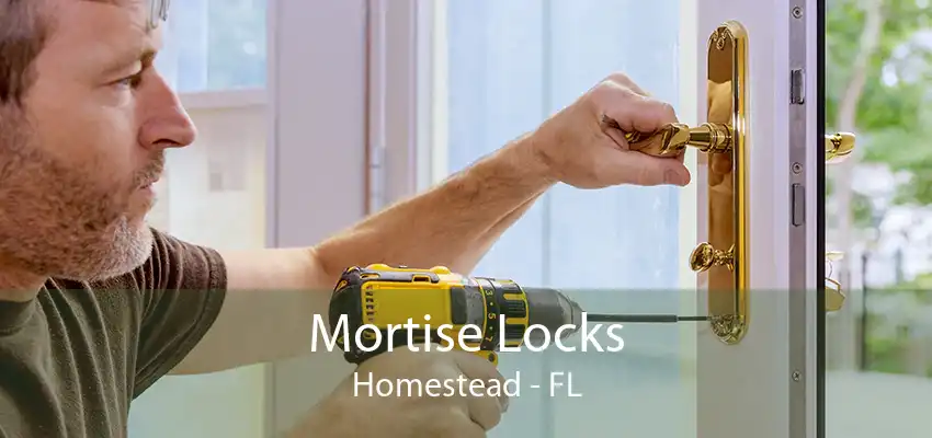 Mortise Locks Homestead - FL