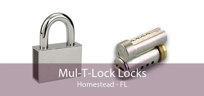 Mul-T-Lock Locks Homestead - FL