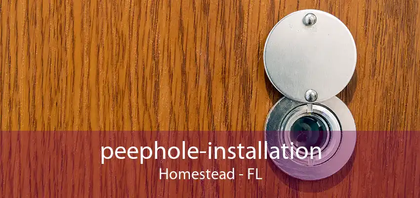 peephole-installation Homestead - FL