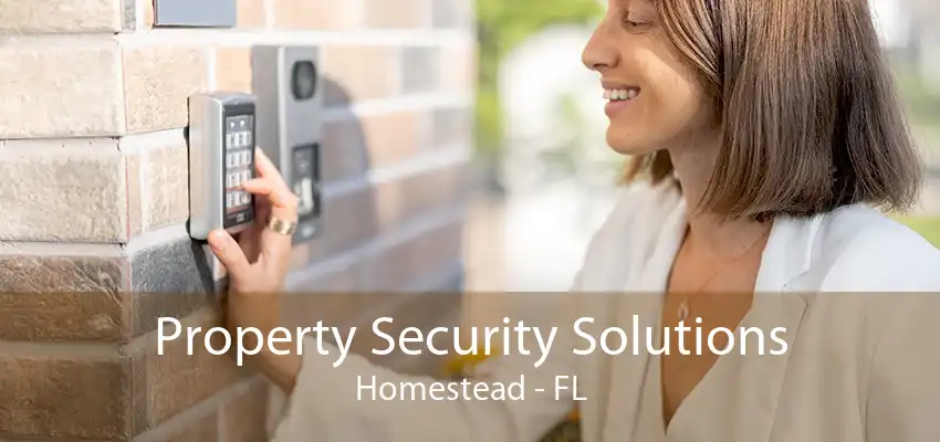 Property Security Solutions Homestead - FL