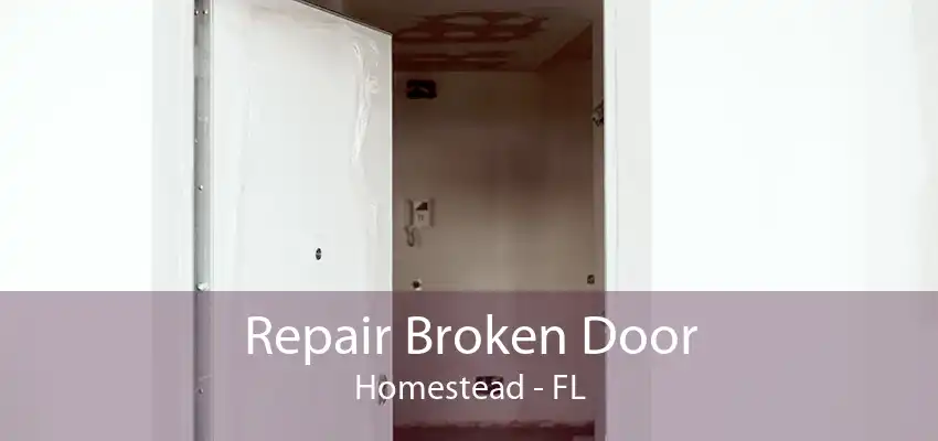 Repair Broken Door Homestead - FL